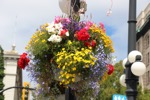 resIMG_20170709_155702_8131.JPG
